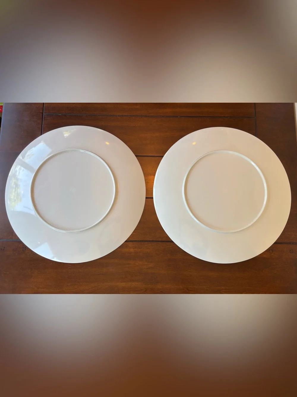 TWO! Celebrate Summer Together Tropical Toucan Melamine Serving Platters 19”
